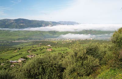 Fahrpläne und Sonderangebote
