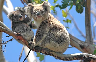 Immer die günstigsten Preise