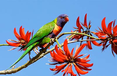 Fahrpläne und Sonderangebote