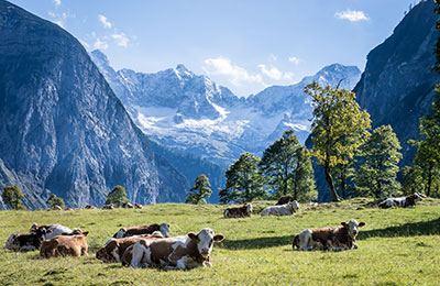 Immer die günstigsten Preise.