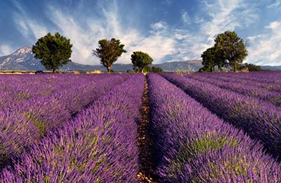 Fahrpläne und Sonderangebote
