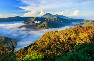 Immer die günstigsten Preise
