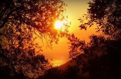 Immer die günstigsten Preise