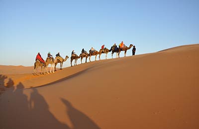 Fahrpläne und Sonderangebote