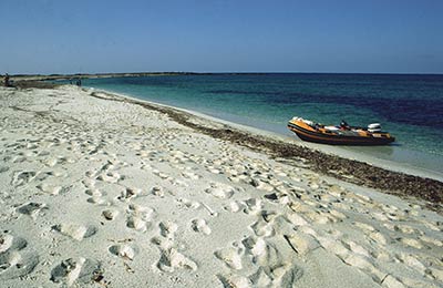 Geniessen Sie die Reise mit GoInSardinia