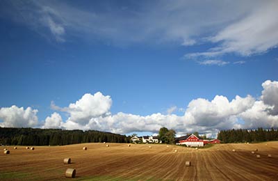 Immer die günstigsten Preise.