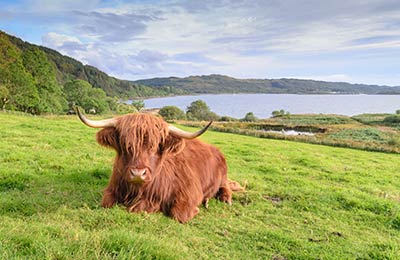 Fahrpläne und Sonderangebote