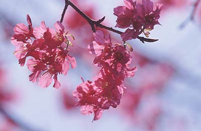 Immer die günstigsten Preise